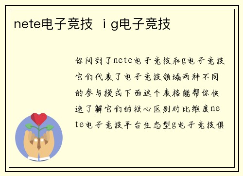 nete电子竞技 ⅰg电子竞技